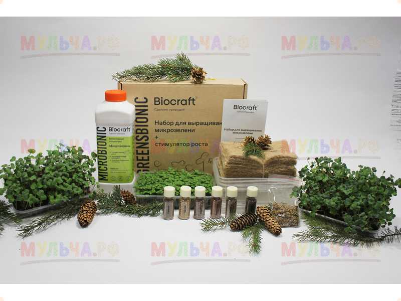 Набор для микрозелени Biocraft (6 культур) - Саженцы и растения - купить упроизводителя Мульча.рф